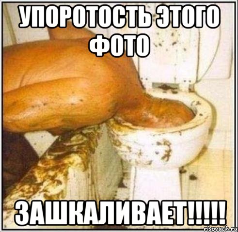 упоротость этого фото зашкаливает!!!, Мем Дайвер