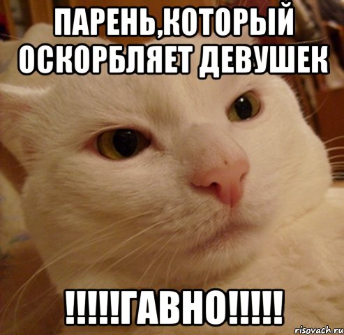 парень,который оскорбляет девушек !!!гавно!!!