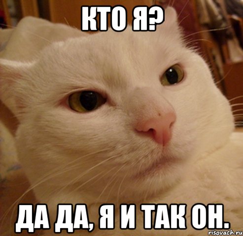 кто я? да да, я и так он., Мем Дерзкий котэ