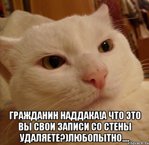  гражданин наддака!а что это вы свои записи со стены удаляете?)любопытно....