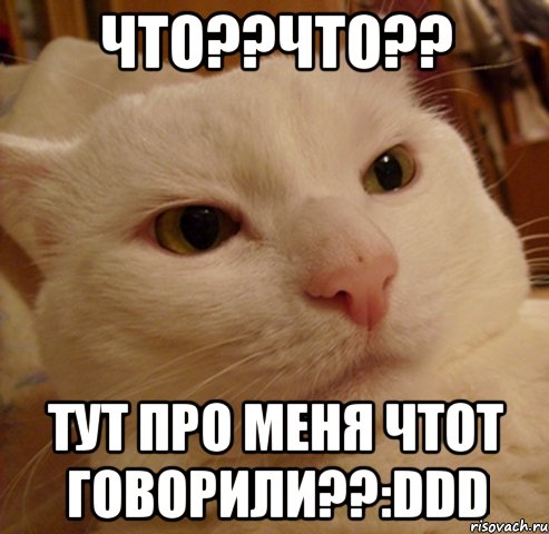 что??что?? тут про меня чтот говорили??:ddd