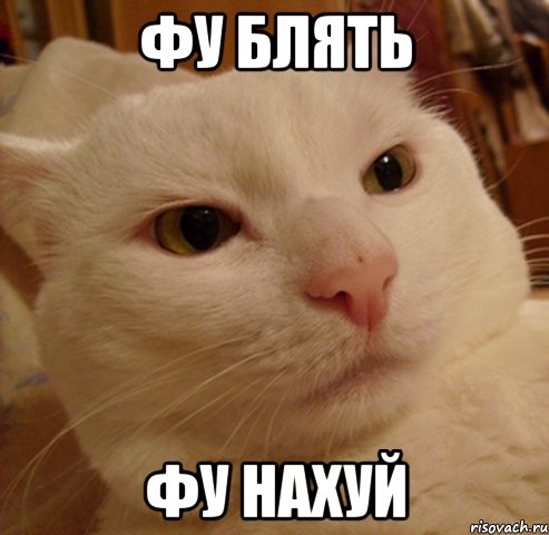 фу блять фу нахуй, Мем Дерзкий котэ