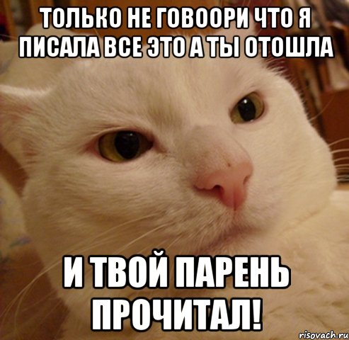 только не говоори что я писала все это а ты отошла и твой парень прочитал!, Мем Дерзкий котэ