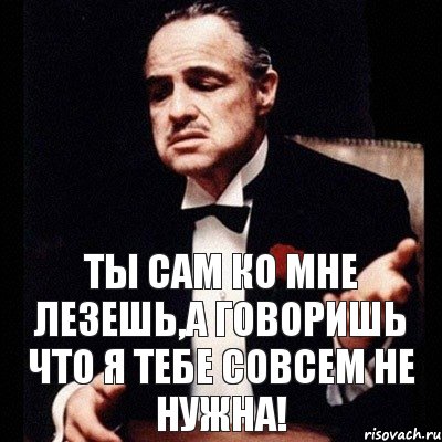 Ты сам ко мне лезешь,а говоришь что я тебе совсем не нужна!