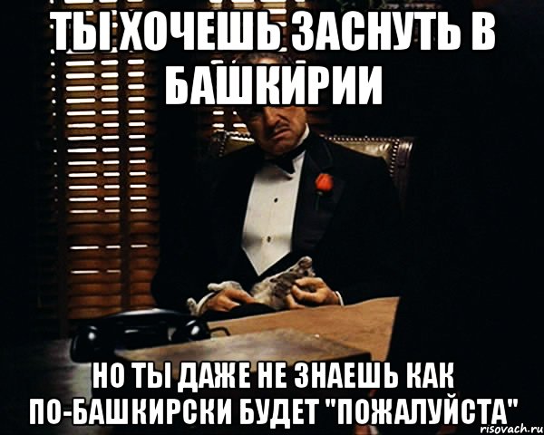 ты хочешь заснуть в башкирии но ты даже не знаешь как по-башкирски будет "пожалуйста", Мем Дон Вито Корлеоне