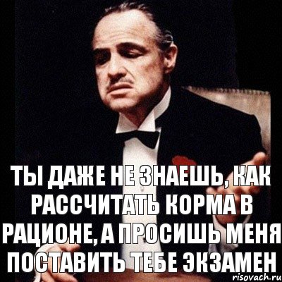 Ты даже не знаешь, как рассчитать корма в рационе, а просишь меня поставить тебе экзамен