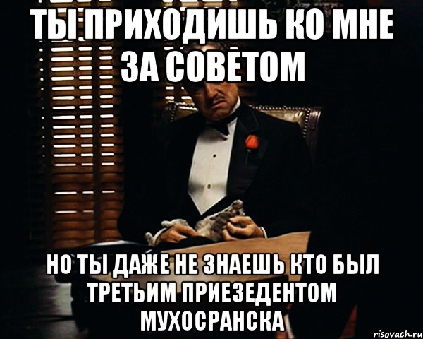 ты приходишь ко мне за советом но ты даже не знаешь кто был третьим приезедентом мухосранска, Мем Дон Вито Корлеоне