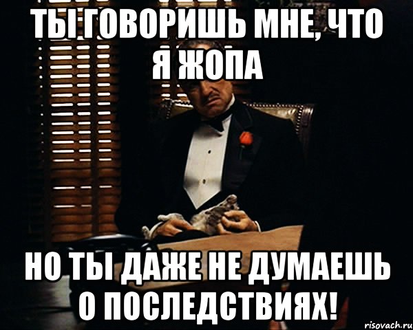 ты говоришь мне, что я жопа но ты даже не думаешь о последствиях!, Мем Дон Вито Корлеоне