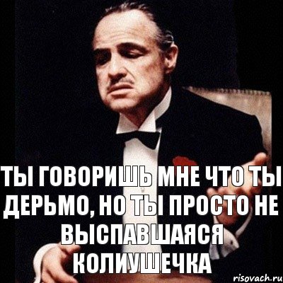 Ты говоришь мне что ты дерьмо, Но ты просто не выспавшаяся Колиушечка, Комикс Дон Вито Корлеоне 1