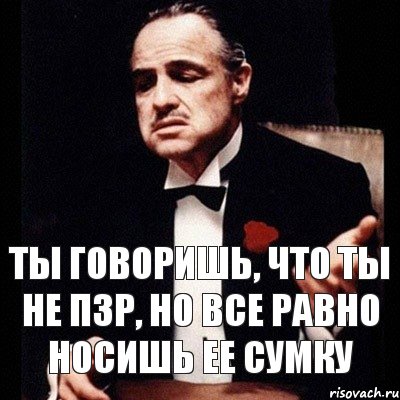 ты говоришь, что ты не пзр, но все равно носишь ее сумку, Комикс Дон Вито Корлеоне 1