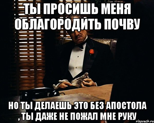 ты просишь меня облагородить почву но ты делаешь это без апостола , ты даже не пожал мне руку, Мем Дон Вито Корлеоне