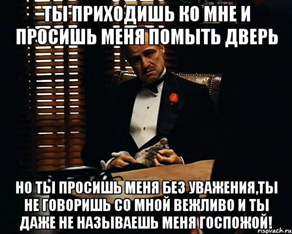 ты приходишь ко мне и просишь меня помыть дверь но ты просишь меня без уважения,ты не говоришь со мной вежливо и ты даже не называешь меня госпожой!, Мем Дон Вито Корлеоне