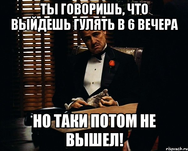 ты говоришь, что выйдешь гулять в 6 вечера но таки потом не вышел!, Мем Дон Вито Корлеоне