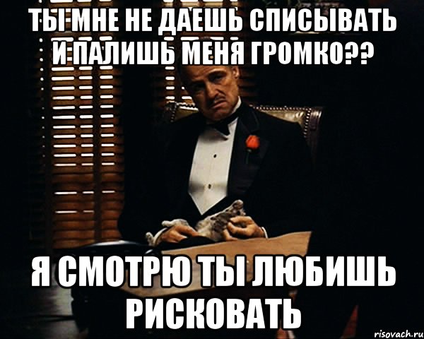 ты мне не даешь списывать и палишь меня громко?? я смотрю ты любишь рисковать, Мем Дон Вито Корлеоне