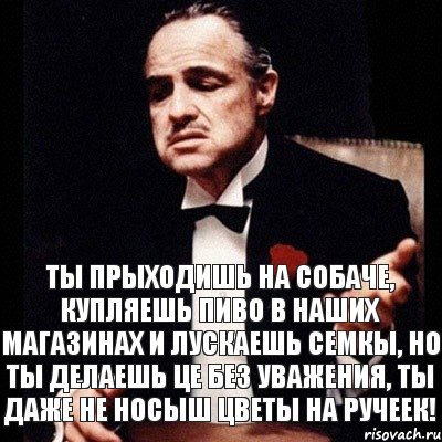 Ты прыходишь на собаче, купляешь пиво в наших магазинах и лускаешь семкы, но ты делаешь це без уважения, ты даже не носыш цветы на ручеек!, Комикс Дон Вито Корлеоне 1