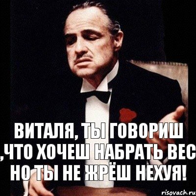 Виталя, ты говориш ,что хочеш набрать вес но ты не жрёш нехуя!, Комикс Дон Вито Корлеоне 1