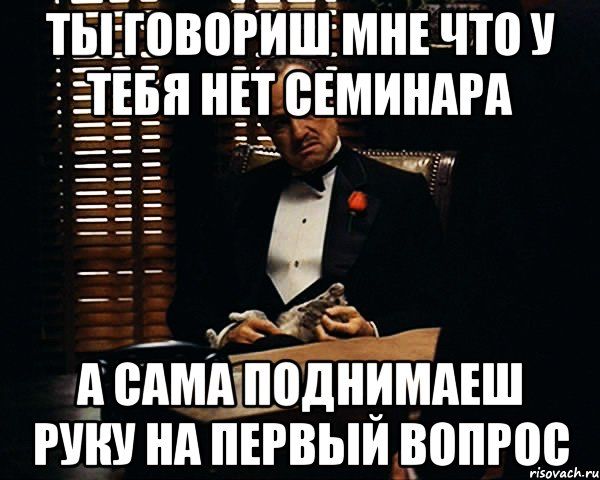 ты говориш мне что у тебя нет семинара а сама поднимаеш руку на первый вопрос, Мем Дон Вито Корлеоне