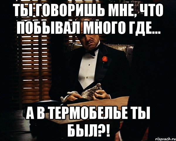 ты говоришь мне, что побывал много где... а в термобелье ты был?!, Мем Дон Вито Корлеоне