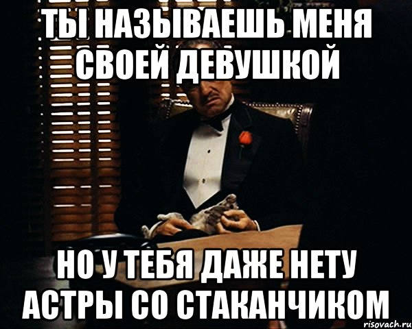 ты называешь меня своей девушкой но у тебя даже нету астры со стаканчиком, Мем Дон Вито Корлеоне