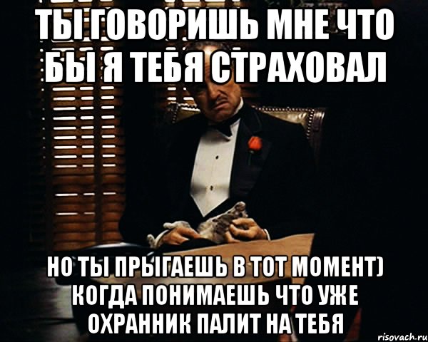 ты говоришь мне что бы я тебя страховал но ты прыгаешь в тот момент) когда понимаешь что уже охранник палит на тебя, Мем Дон Вито Корлеоне