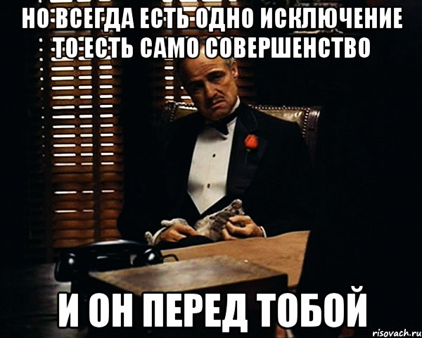 но всегда есть одно исключение то есть само совершенство и он перед тобой, Мем Дон Вито Корлеоне