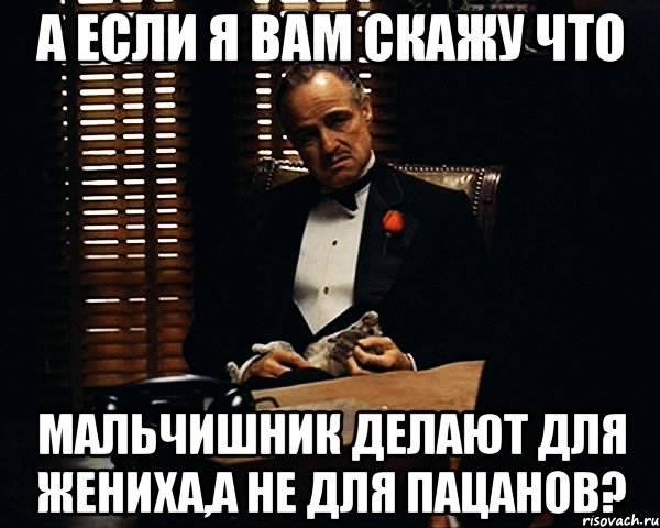 а если я вам скажу что мальчишник делают для жениха,а не для пацанов?, Мем Дон Вито Корлеоне