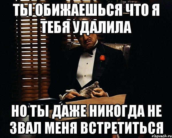 ты обижаешься что я тебя удалила но ты даже никогда не звал меня встретиться, Мем Дон Вито Корлеоне