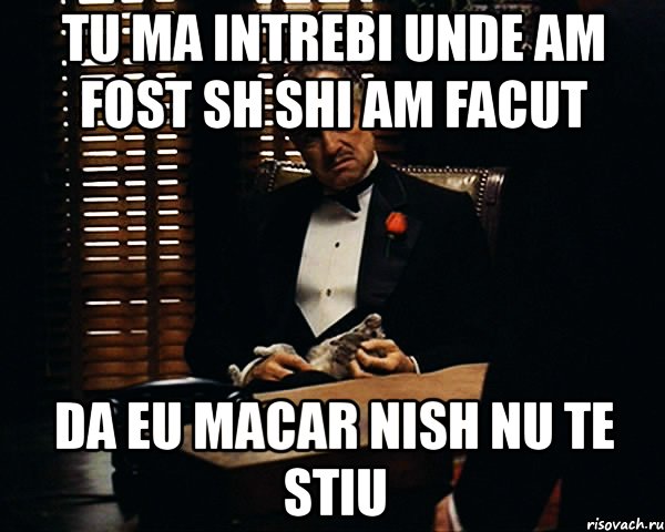 tu ma intrebi unde am fost sh shi am facut da eu macar nish nu te stiu, Мем Дон Вито Корлеоне