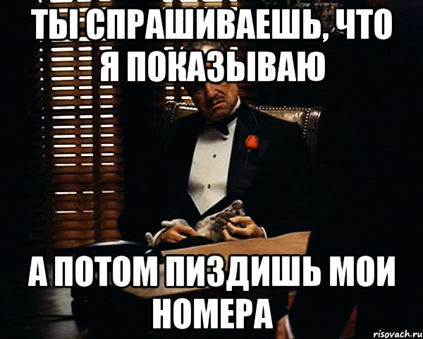 ты спрашиваешь, что я показываю а потом пиздишь мои номера, Мем Дон Вито Корлеоне