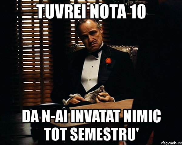 tuvrei nota 10 da n-ai invatat nimic tot semestru', Мем Дон Вито Корлеоне