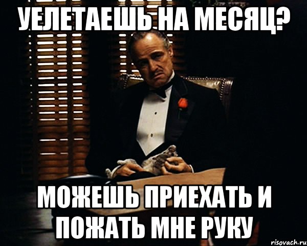 уелетаешь на месяц? можешь приехать и пожать мне руку, Мем Дон Вито Корлеоне