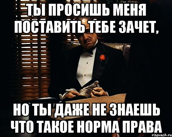 ты просишь меня поставить тебе зачет, но ты даже не знаешь что такое норма права, Мем Дон Вито Корлеоне