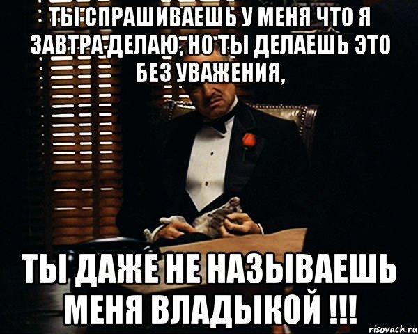 ты спрашиваешь у меня что я завтра делаю, но ты делаешь это без уважения, ты даже не называешь меня владыкой !!!, Мем Дон Вито Корлеоне