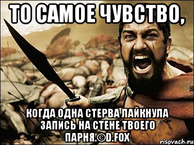 то самое чувство, когда одна стерва лайкнула запись на стене твоего парня.©d.fox, Мем Это Спарта