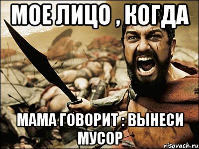 мое лицо , когда мама говорит : вынеси мусор, Мем Это Спарта