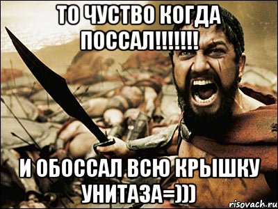 то чуство когда поссал!!! и обоссал всю крышку унитаза=))), Мем Это Спарта