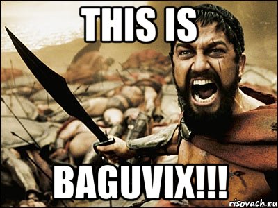 this is baguvix!!!, Мем Это Спарта