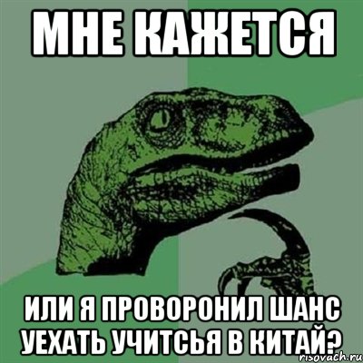 мне кажется или я проворонил шанс уехать учитсья в китай?, Мем Филосораптор