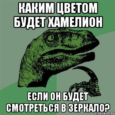 каким цветом будет хамелион если он будет смотреться в зеркало?, Мем Филосораптор