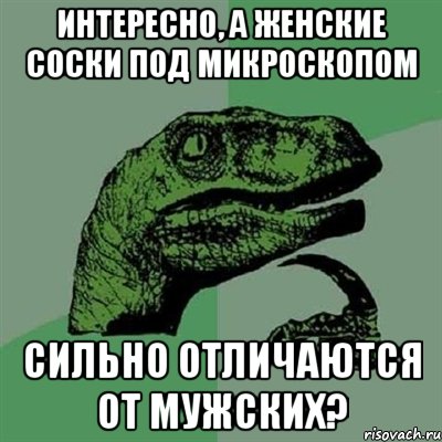 интересно, а женские соски под микроскопом сильно отличаются от мужских?, Мем Филосораптор