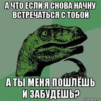 а что если я снова начну встречаться с тобой а ты меня пошлёшь и забудешь?, Мем Филосораптор