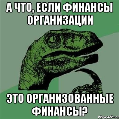 а что, если финансы организации это организованные финансы?, Мем Филосораптор