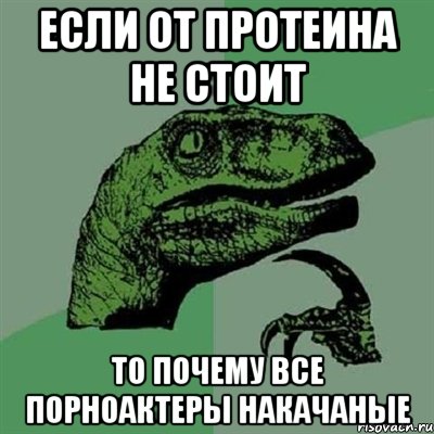 если от протеина не стоит то почему все порноактеры накачаные, Мем Филосораптор