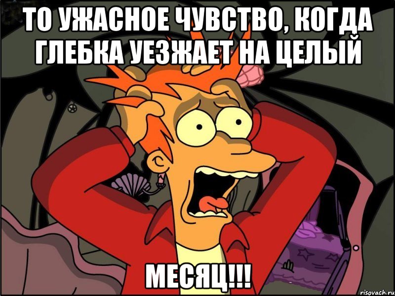 то ужасное чувство, когда глебка уезжает на целый месяц!!!, Мем Фрай в панике