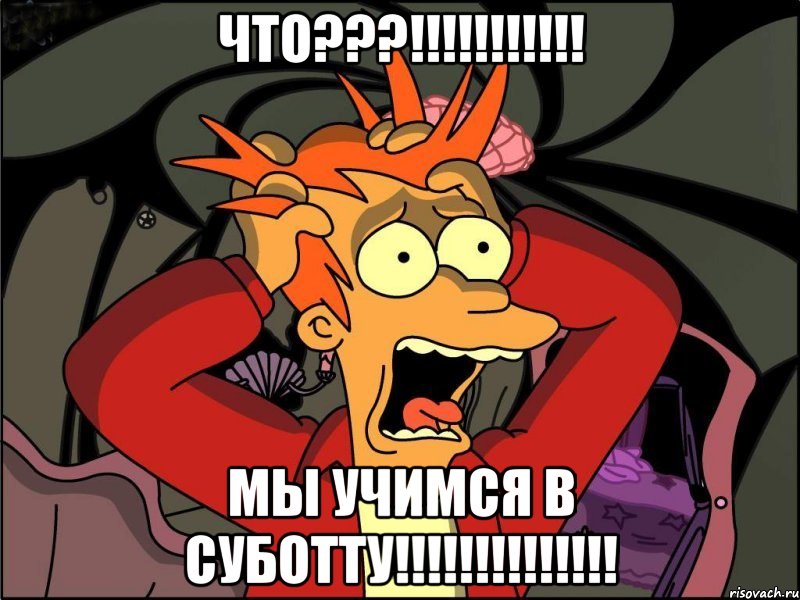 что???!!! мы учимся в суботту!!!, Мем Фрай в панике