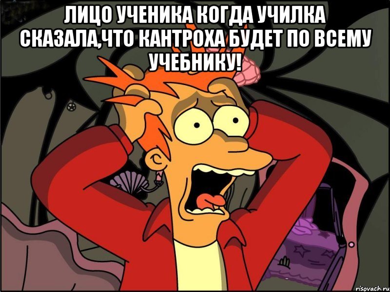 лицо ученика когда училка сказала,что кантроха будет по всему учебнику! , Мем Фрай в панике