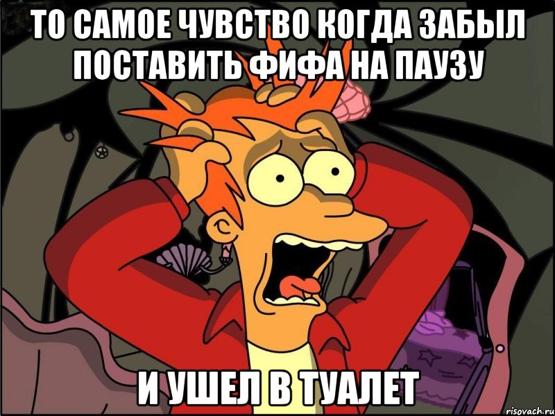 то самое чувство когда забыл поставить фифа на паузу и ушел в туалет, Мем Фрай в панике