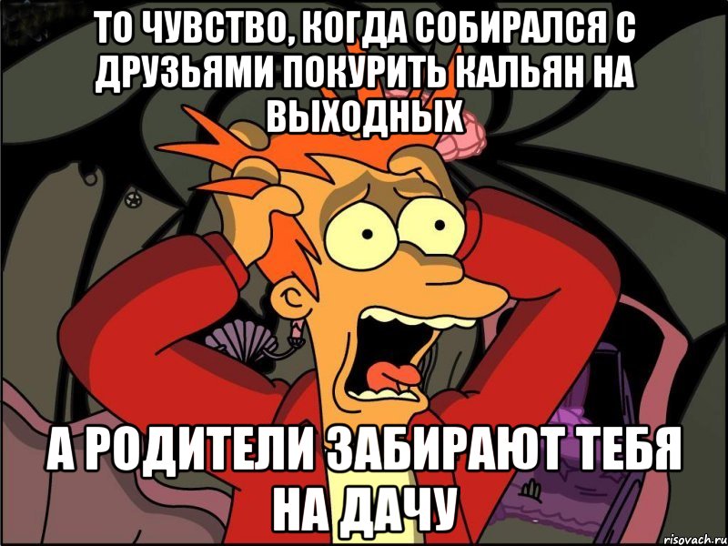 то чувство, когда собирался с друзьями покурить кальян на выходных а родители забирают тебя на дачу, Мем Фрай в панике