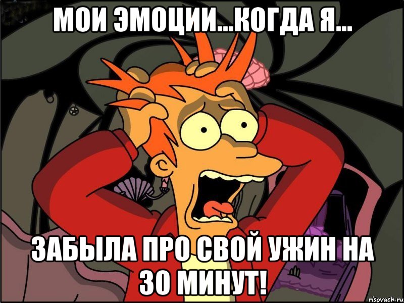 мои эмоции...когда я... забыла про свой ужин на 30 минут!, Мем Фрай в панике