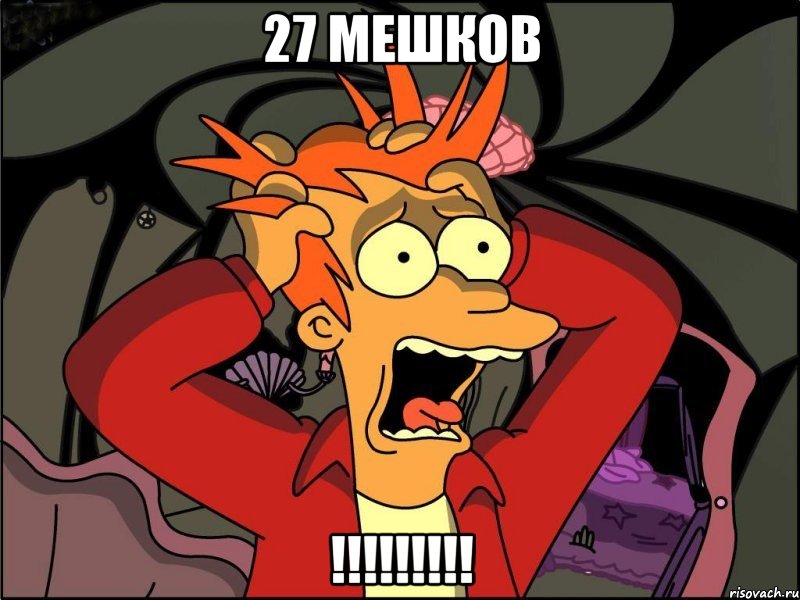27 мешков !!!, Мем Фрай в панике